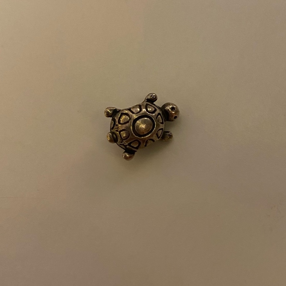 Turtle Pandora Charm
